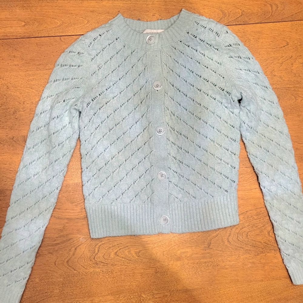 LOFT Light Blue Shimmer Eyelet Knit Button Cardigan | 5% Wool Blend